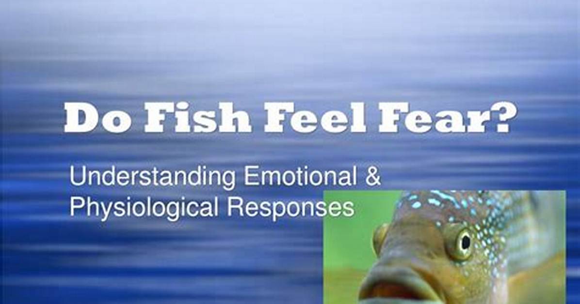 Do Fish Feel Emotion?