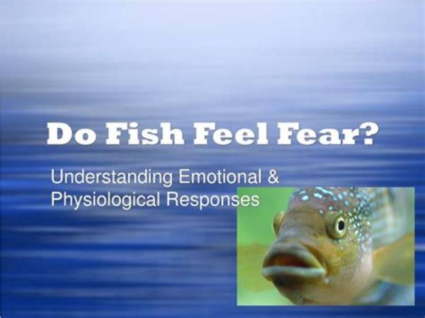 Do Fish Feel Emotion?