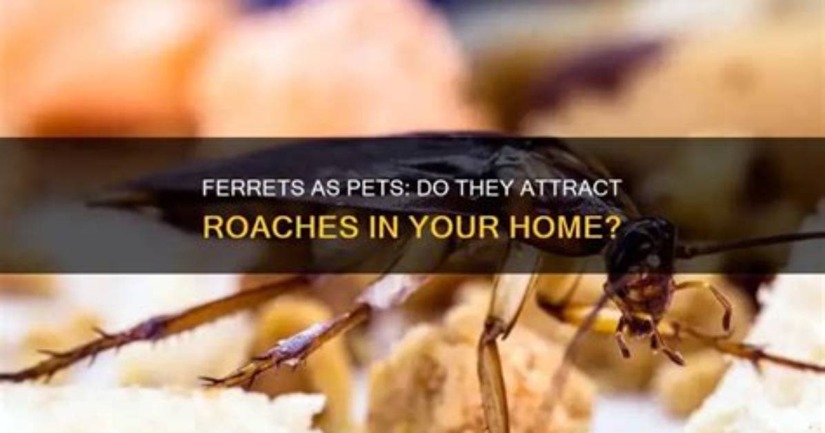 Do Gardens Attract Roaches?