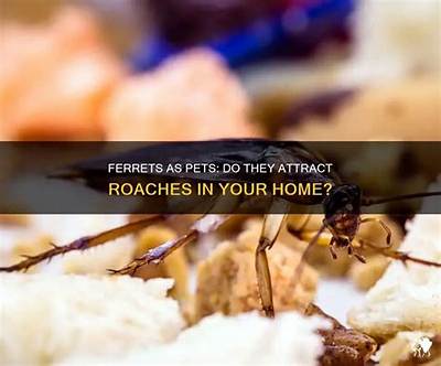 Do Gardens Attract Roaches?