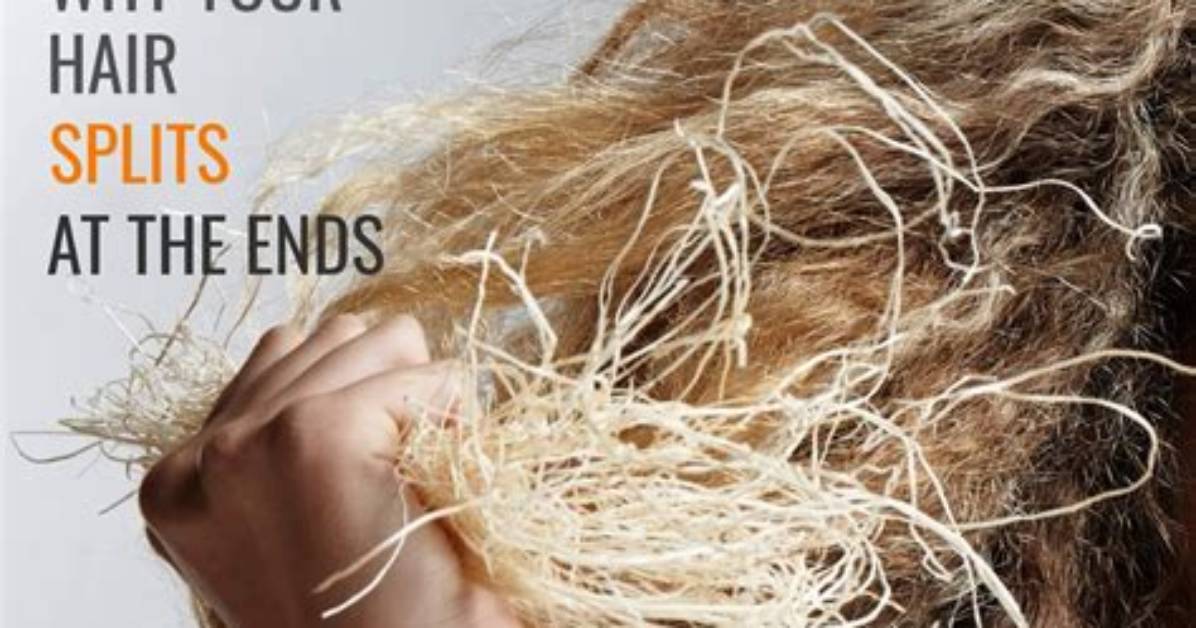Do Gingers Get Split Ends?