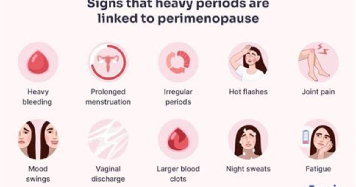 Do Heavy Periods Mean You Are More Fertile?