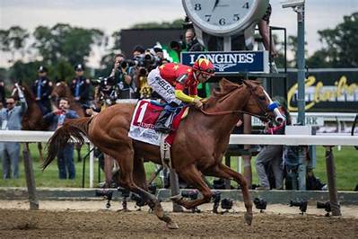 Do Horses Know When They Win a Race?