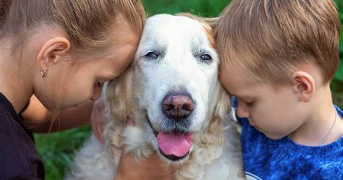 Do Hugs Stress out Dogs?