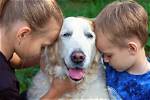 Do Hugs Stress out Dogs?