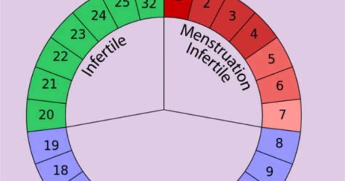 Do I Still Ovulate at 44?