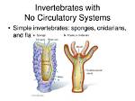 Do Invertebrates Have Heart?