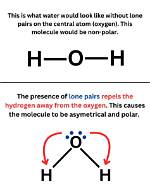 Do Lone Pairs Make a Molecule Polar?