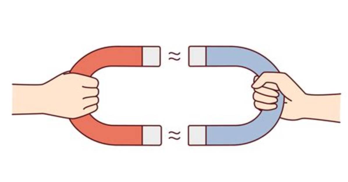 Do Magnets Attract People?