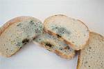 Do Moldy Bread Kill You?