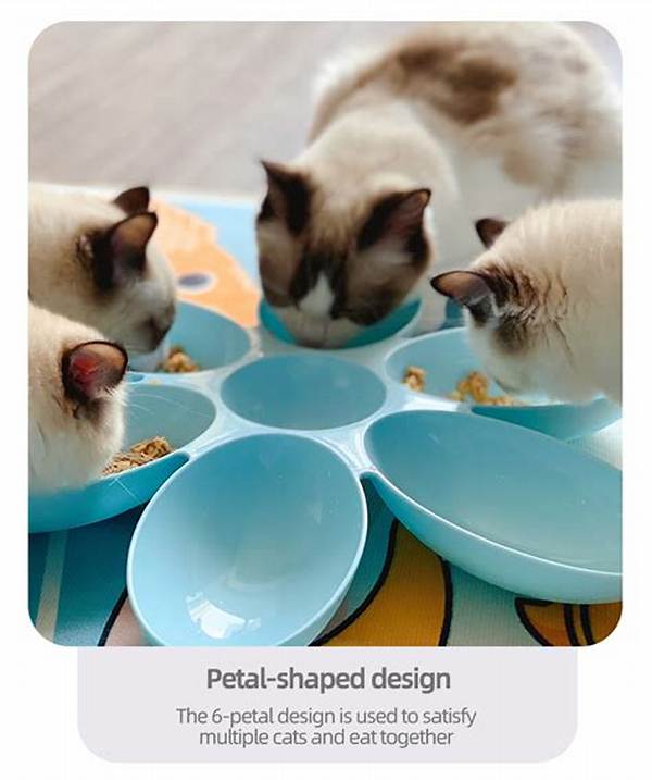 Do Multiple Cats Need Multiple Food Bowls?