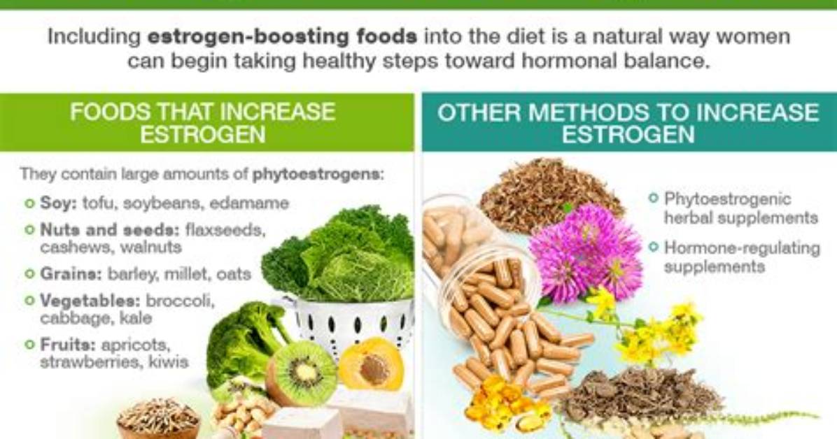 Do Phytosterols Increase Estrogen?
