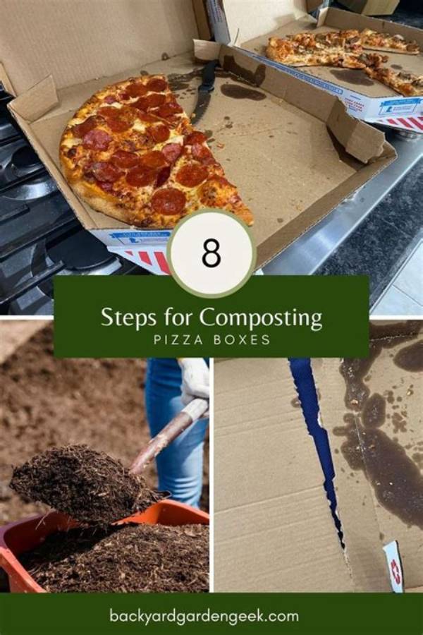Do Pizza Boxes Go in Compost?