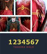 Do Quidditch Players Have Numbers?