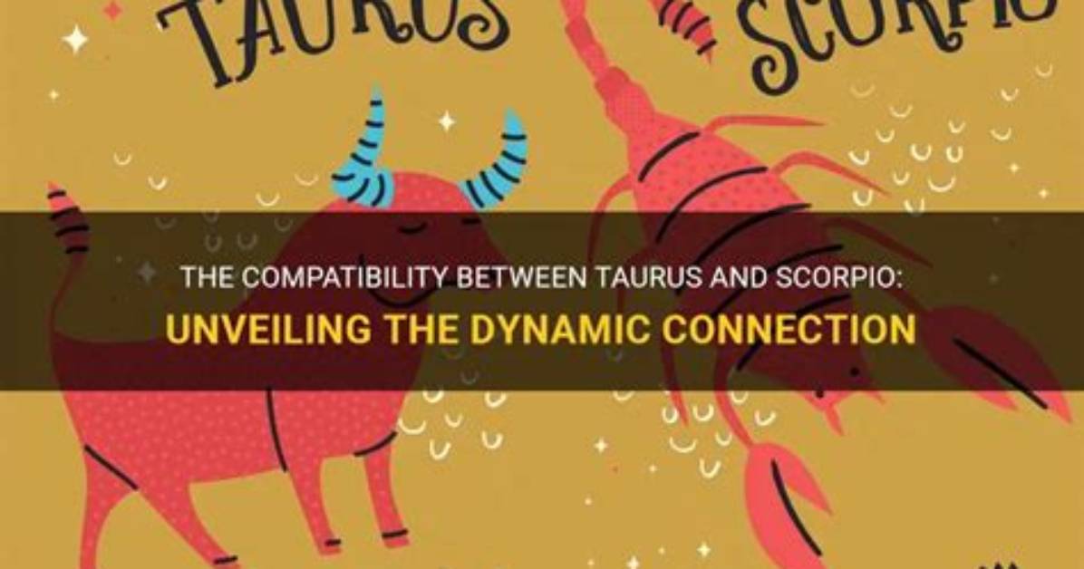 Do Taurus and Scorpio Get Along?