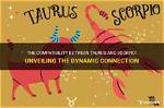 Do Taurus and Scorpio Get Along?