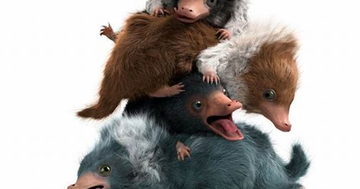 Do the Baby Nifflers Have Names?