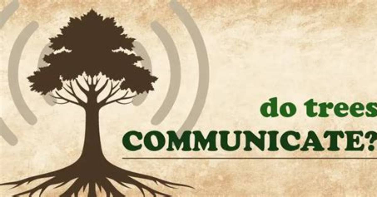 Do Trees Burp?