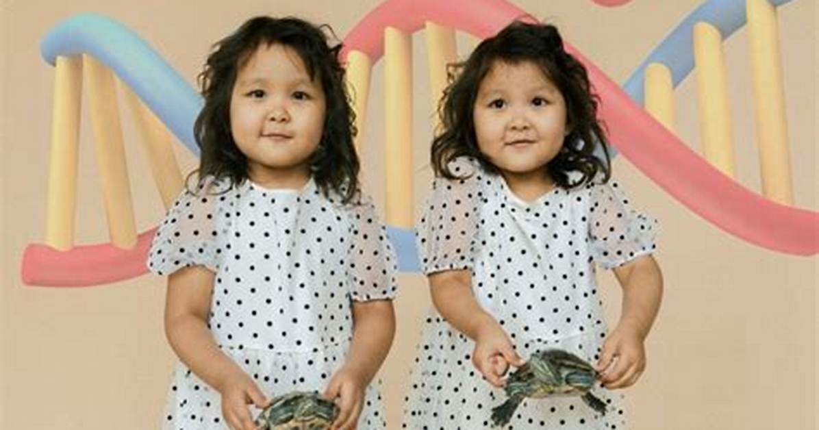 Do Twins Have the Same Nature?