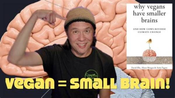 Do Vegans Have Brain Problems?