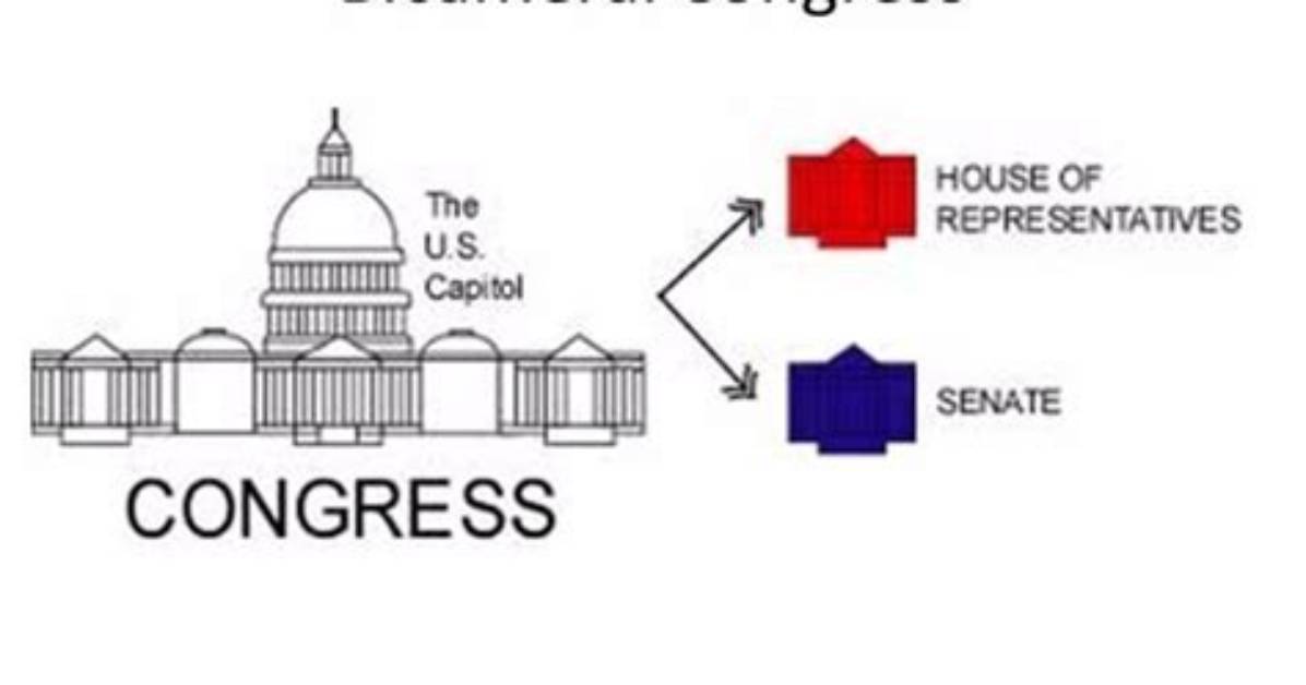 Do We Have Bicameral?