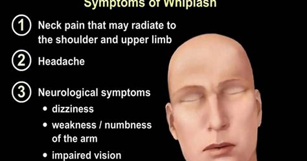 Do Whips Hurt Humans?