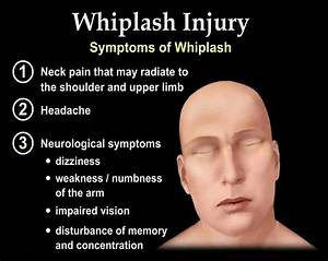 Do Whips Hurt Humans?