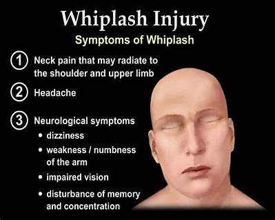 Do Whips Hurt Humans?