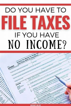 Do You Have to File a K-1 for a S Corporation?