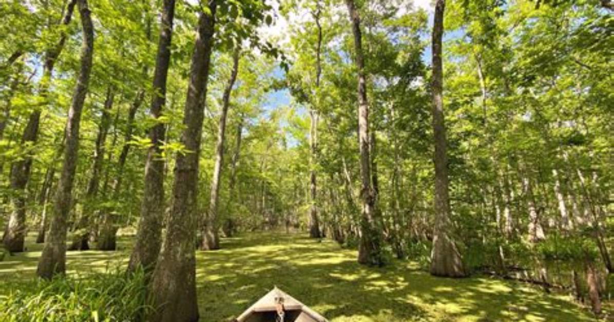 Do You Have to Live in Louisiana to Claim Gambling Winnings?