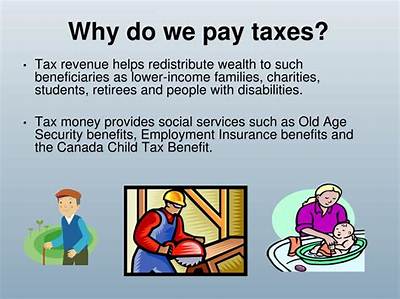 Do You Have to Pay Taxes on eBay Business Account?