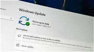 Do You Have to Update Your W-4 Every Year?