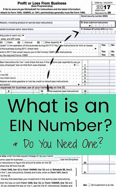 Do You Need an Ein for a Single Member Llc?