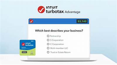 Do You Need Turbotax for Your Business Tax Return?