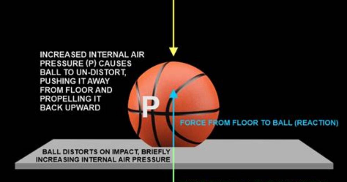 Does a Ball Bounce Higher If It Is Warmer?