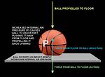 Does a Ball Bounce Higher If It Is Warmer?