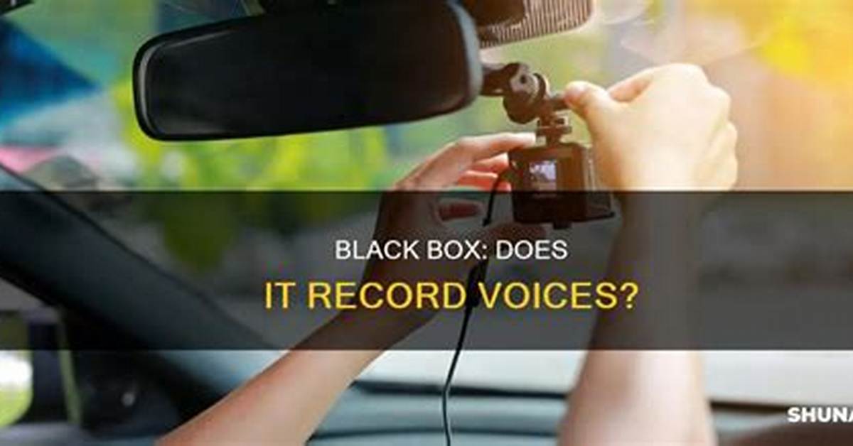 Does a Car Black Box Record Voice?