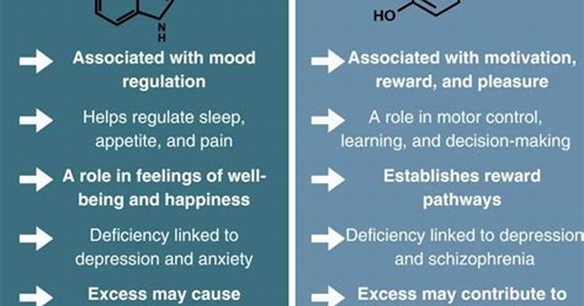Does Adderall Deplete Serotonin or Dopamine?
