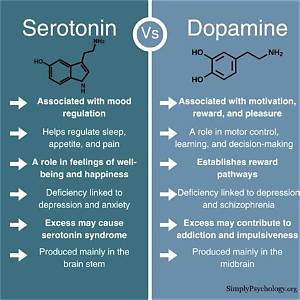 Does Adderall Deplete Serotonin or Dopamine?