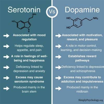 Does Adderall Deplete Serotonin or Dopamine?