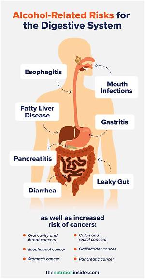 Does Alcohol Affect Bowel Function?
