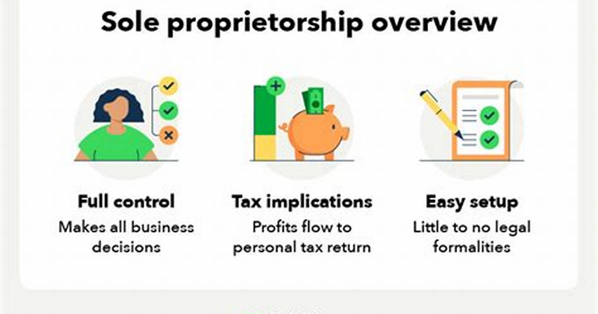 Does an Individual Sole Proprietor Mean on W9?