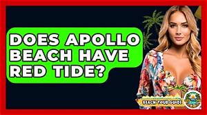 Does Apollo Beach Still Have Red Tide?
