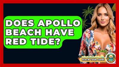 Does Apollo Beach Still Have Red Tide?