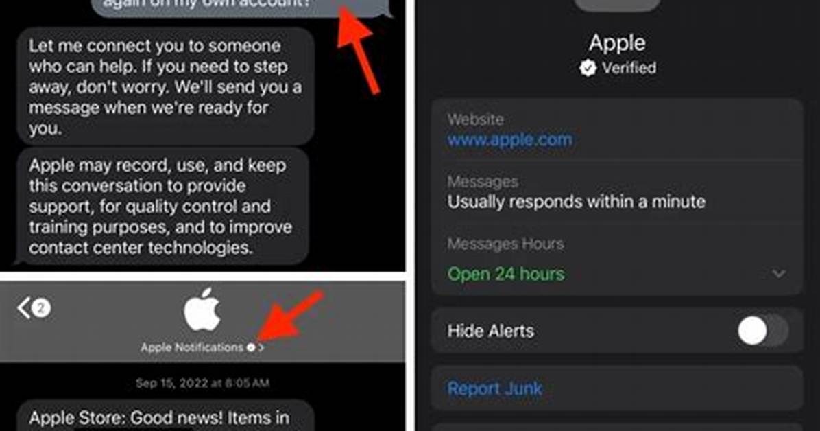 Does Apple Send Security Alerts?