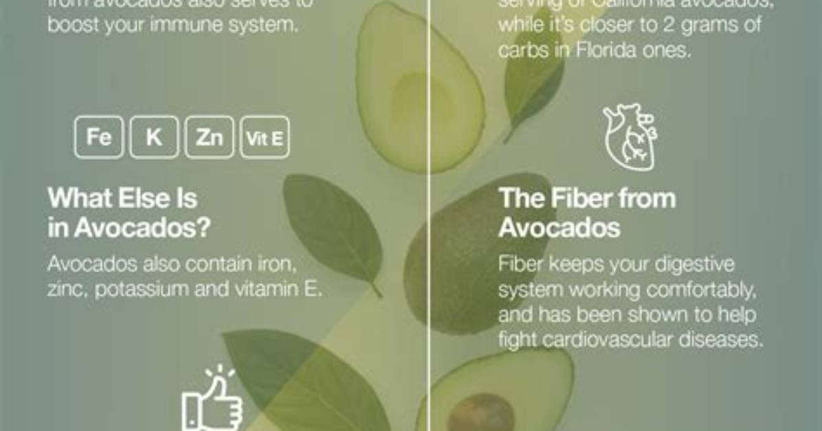 Does Avocados Have Protein?