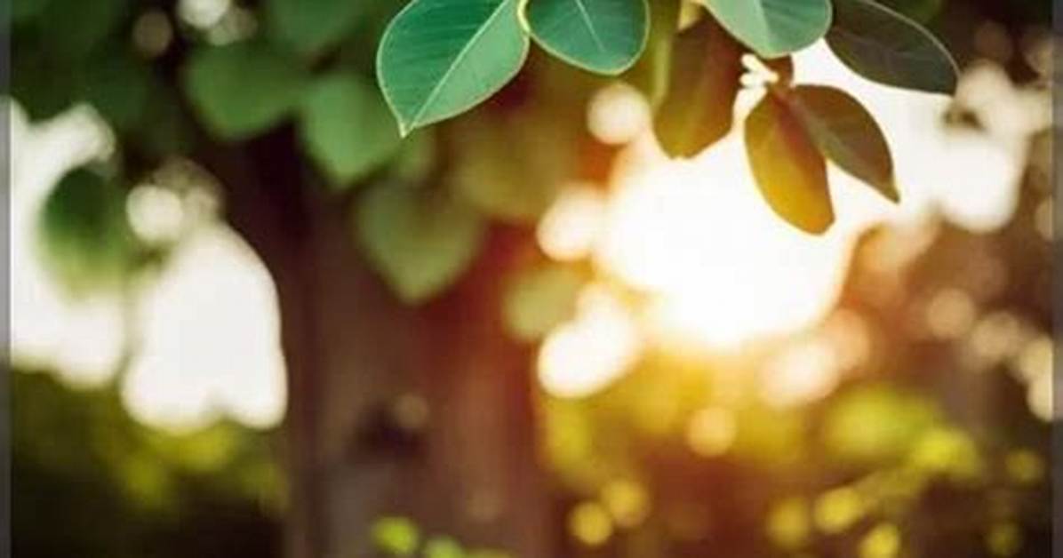 Does Baobab Oil Penetrate Hair?