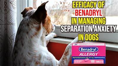 Does Benadryl Help Dogs with Separation Anxiety?