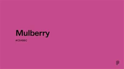 Does Blue Go with Mulberry?