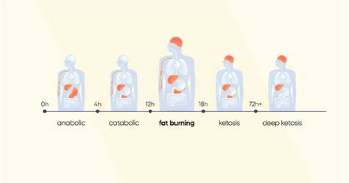 Does Breathing Burn Fat?